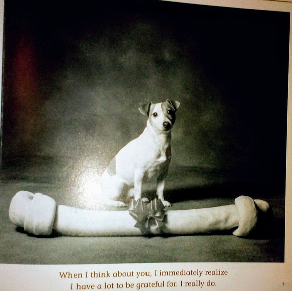 3 Pack Book Set: The Blue Day Book, The Meaning of Life, Thank You For Being You - Picture 10 of 16